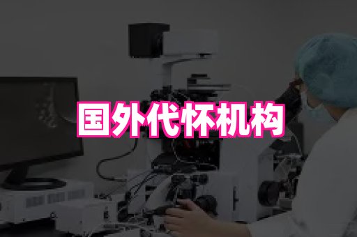 国际助孕网站 1
