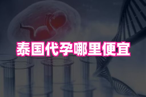 国际助孕网站 3
