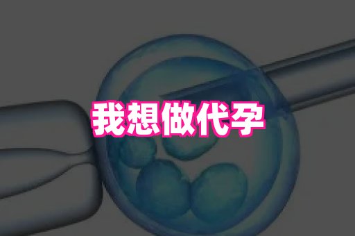 国际助孕网站 4